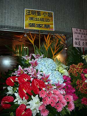 lizawang.com