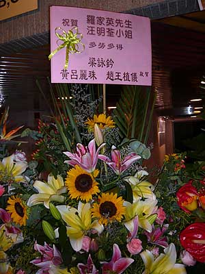lizawang.com