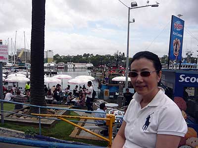 lizawang.com