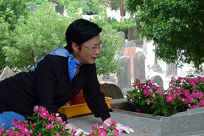 lizawang.com