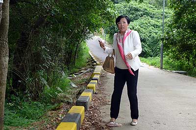 lizawang.com