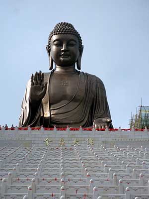 lizawang.com