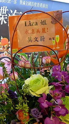 lizawang.com