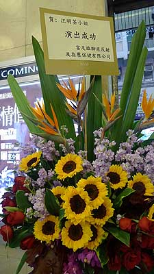 lizawang.com