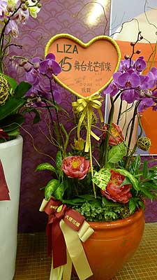 lizawang.com