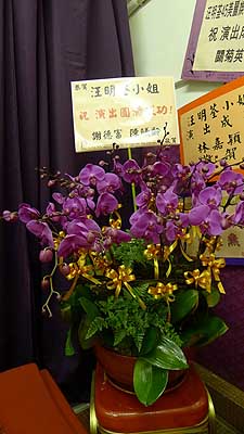 lizawang.com