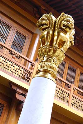 lizawang.com