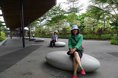 lizawang.com