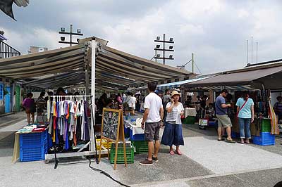 lizawang.com
