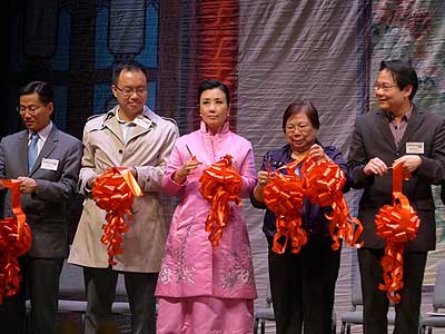 lizawang.com