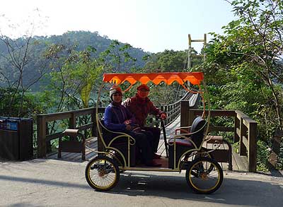 lizawang.com