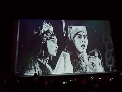 lizawang.com