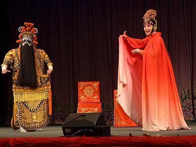 lizawang.com