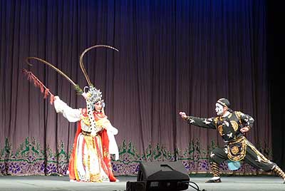 lizawang.com