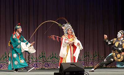 lizawang.com