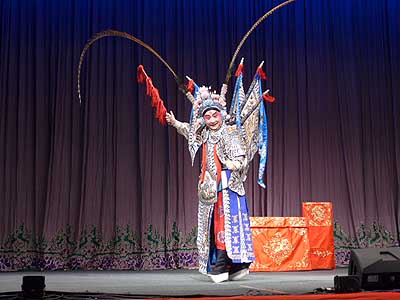 lizawang.com