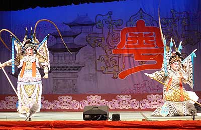 lizawang.com