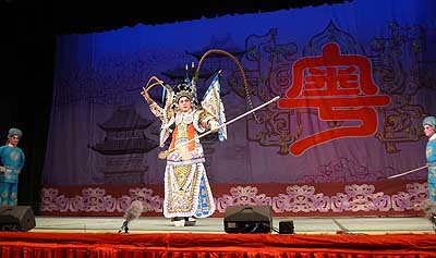 lizawang.com