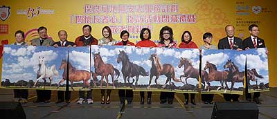 lizawang.com