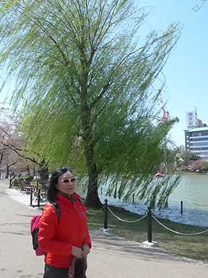 lizawang.com