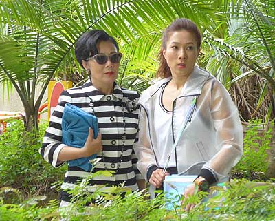 lizawang.com