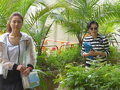 lizawang.com