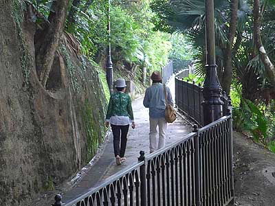 lizawang.com