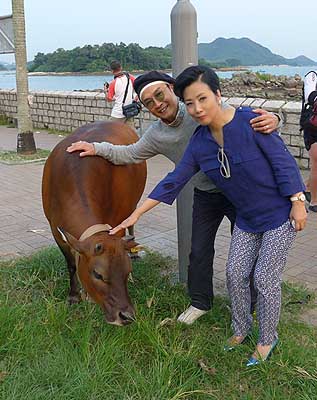 lizawang.com