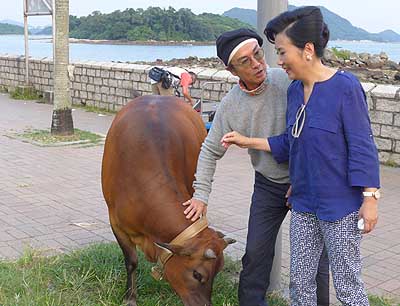 lizawang.com