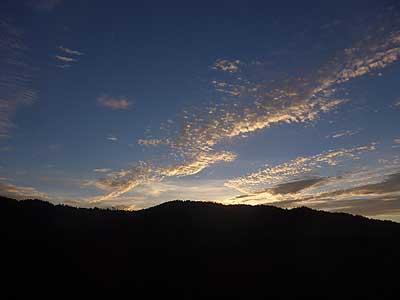 lizawang.com