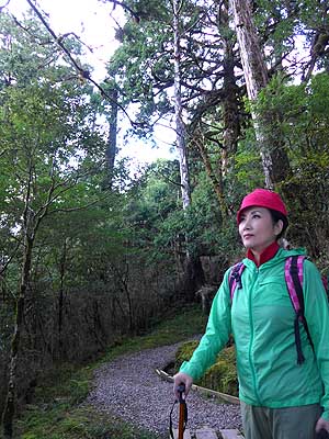 lizawang.com