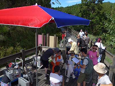 lizawang.com