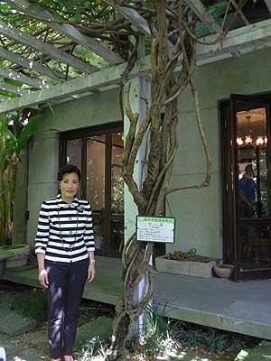 lizawang.com