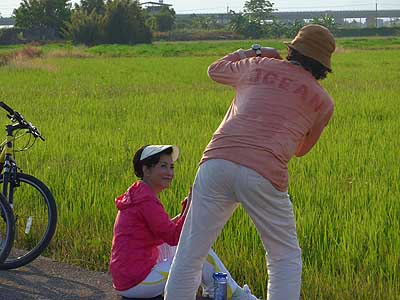 lizawang.com