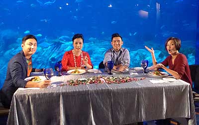 lizawang.com