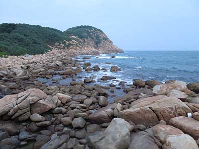 lizawang.com