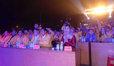 lizawang.com