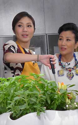 lizawang.com
