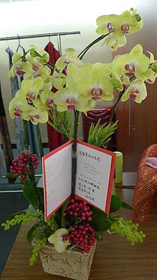 lizawang.com