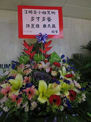lizawang.com