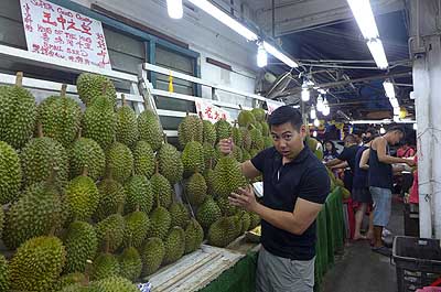 lizawang.com