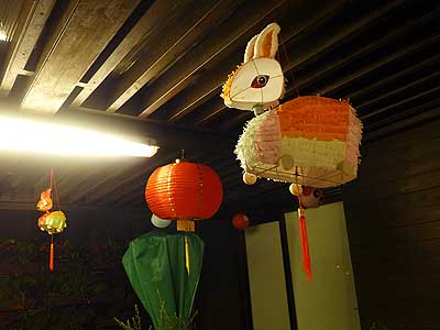 lizawang.com