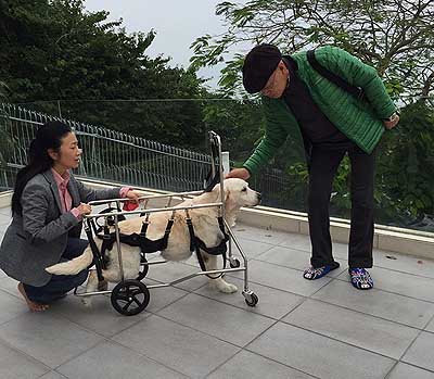 lizawang.com