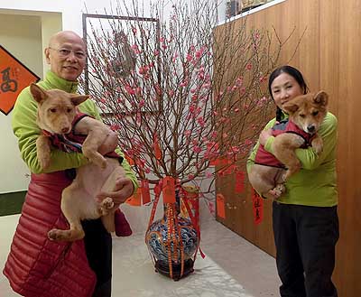 lizawang.com