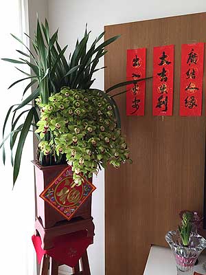 lizawang.com
