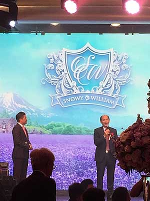 lizawang.com