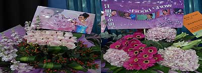 lizawang.com