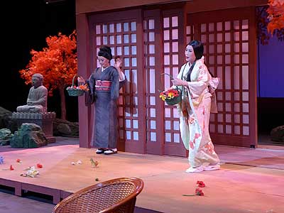 lizawang.com