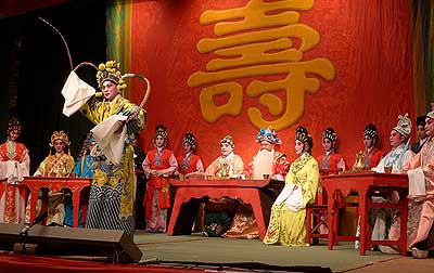 lizawang.com