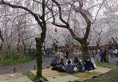 lizawang.com